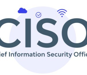 The Chief Information Security Officer (CISO): Protector of the Digital World in the Modern Enterprise