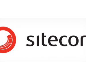 Sitecore Development: Choosing the Right Information Architecture Approach for Your Business