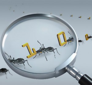 What is Crowdsourced Software Testing?